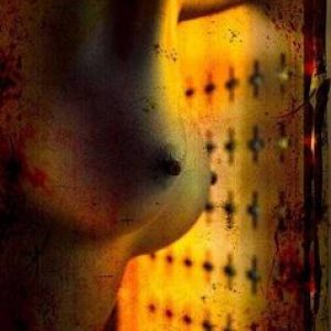 Erotic Nude 2010, #4402