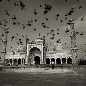 Jama Masjid, Delhi