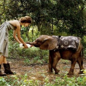 Keira Knightley with Elephant. 2007, by Arthur Elgort, the actress in a green dress feeding a baby elephant who is wearing a Luis Vuitton blanket