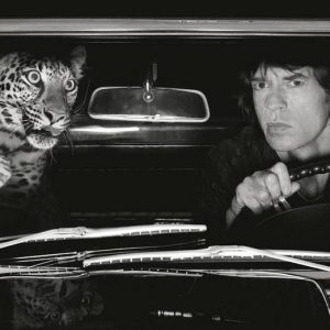 Mick Jagger, Leopard, Car, Wild Cat, Big Cat, Wild Animal, Driving, Balc and white, black and white photography, celebrity, singer, musician, celebrity portrait, albert watson, albert watson photography, fine art photography, limited edition, 90s