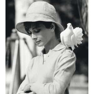 Audrey Hepburn Dove