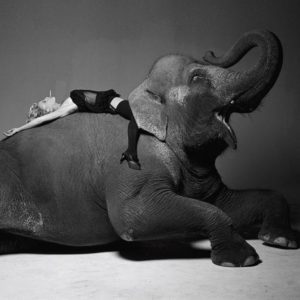Daryl Hannah, L'Uomo Vogue, the actress in black transparent dress and stockings, lying on an elephant