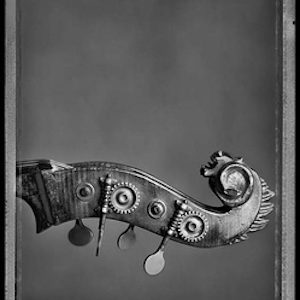 MINGUS´BASS, NEW YORK by Mark Seliger, black and white photography of a carved wooden instrument