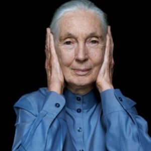 Jane Goodall III
