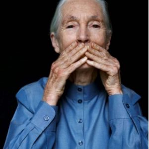 Jane Goodall II