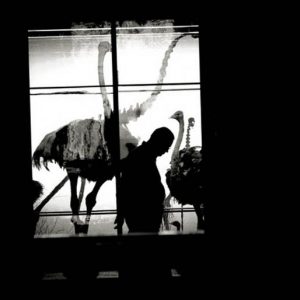 Deeper Shades of Vienna IV