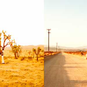 Things we lost in the fire