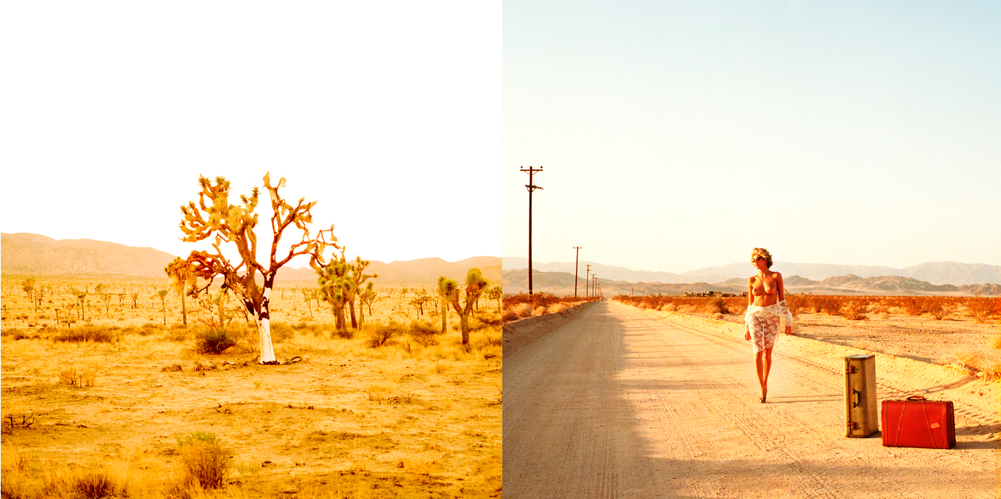 Things we lost in the fire