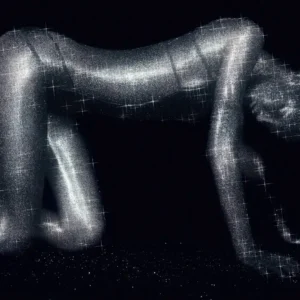 Rankin, Sparkly Gisele, Gisele Bündchen, Glitter, Nude, Bodypaint, abstract, abstract photography, nude photography, fine art photography, limited edition, Model, Supermodel, Topmodel