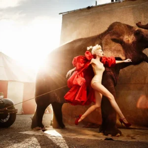 jumping next to an Elephant whitle pulling an oldtimer car