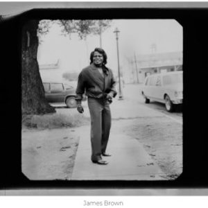 James Brown by Timothy White, the musician on a rural street between cars and a tree