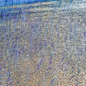 Reeds in Loche - Isle of Skye - Scotland 2013 by albert watson, plants in a lake in changed color, blue and yellow, abstract