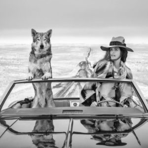 David Yarrow, on the Road again, Cindy Crawford, Model, Supermodel, Wolf, Car, Snow, Cabriot, Landscape, Nature, Snow, Outdoors, Contemporary Pop, fine art photography, limited edition, black and white, black and white photography