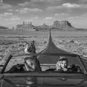 Road Trip 2 by David Yarrow, model and wolf sitting in a car driving through monument valley