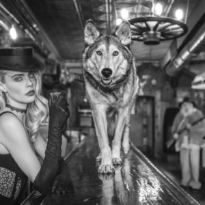 The final frontier by David Yarrow, Wolf standing on a Bar with a model in hat and gloves holding a shot next to him