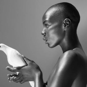 The pigeon by Sylvie Blum, bald model holding a white pigeon