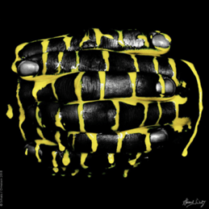 LLS #1032 by Howard Schatz, clasped hands painted black, yellow paint spilling over them