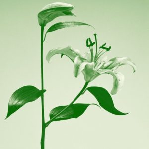 Lily by Jesse Frohman, green