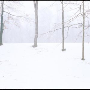 Nigel Parry, Home, Winter, Snow, Winter Landscape, Landscape, Landscape Photography, Trees, Woods, Outdoors, Nature, Nature Photography, Color, Color Photography, Fine art Photography, limited edition, panorama, panoramic, panoramic photography