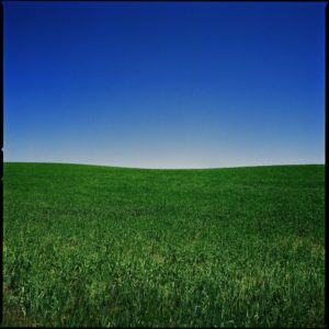 Wyoming 03 by Nigel Parry, green field and clear blue sky