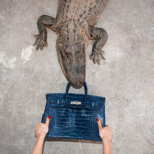 Shields, Gator Birkin II, Gatro, Eligator, Crocodile, Leather, Handbag, Birkin Bag, Status, Luxury, fine art photography, limited edition, color, color photography, blue, grey, animal, wildlife