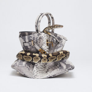 Tyler Shields, Python Birkin, Python, Snake, Birkin Bag, Status, Luxury, Fine Art Photography, limited edition, Color, Color Photography, Animal, Wildlife, Contemporary Pop