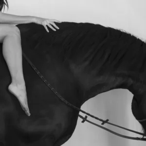 Sylvie Blum, Horses, Animal, Nude, black horse