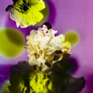 Kristian Schuller, Grazia, Flower, Color, Abstract, Purple, Yellow, Model