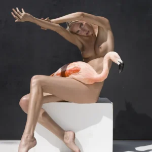 Sylvie Blum, The Birds, Flamingo, Bird, Animal, Nude, Woman