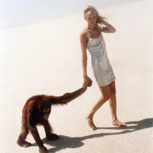 Michael Comte, Beauty and Beast, monkey, Desert, Color, Fashion, Vogue