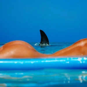 Tony Kelly, Shark Lady, Ocean, Animal, Shark, Nude, Woman, Color, Blue