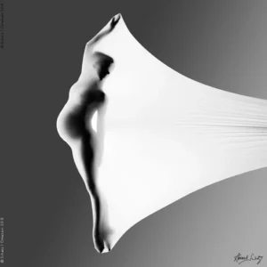 Howard Schatz, Anthology, Pregnant, Woman, Nude, Dancer, Silhouette, Body