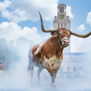 David Yarrow, Hook em Horns, Bull, Color, Spain, Blue