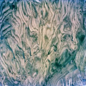 Nigel Parry, Untitled 19, Abstract, colors, photography, closeup, green, yellow, blue, shapes