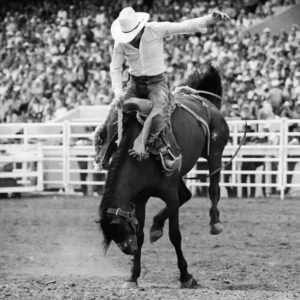 Albert Watson, Calgary, Cowboy, Horse, Rodeo, black and white