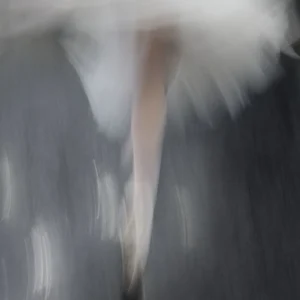 Gérard Uféras, Scala, Ballerina, Running, Color, Abstract, backstage, ballet, dancer, dancing, tutu
