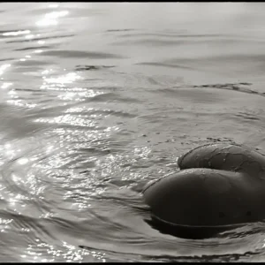 Gaia, Water, Greece, Guido Argentini, Nude, Abstract, Ocean, Summer, Sun, Light, Reflections, Woman, Female, nude photography, black and white photography, fine art photograpy
