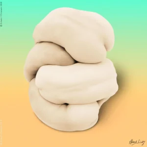 Howard Schatz, Body Knots, abstract, nude, in yellow green and orange