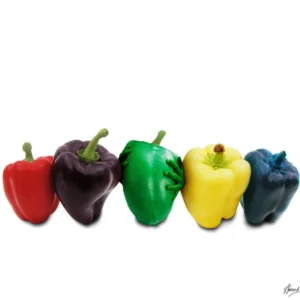 Howard Schatz, Body KNots, Parpika, abstract, bodies, nude, red, green, yellow, funny