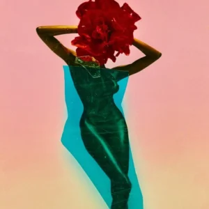 Kristian Schuller, Flower, Color, Abstract, red, orange, green, Yellow, Model, woman, figure