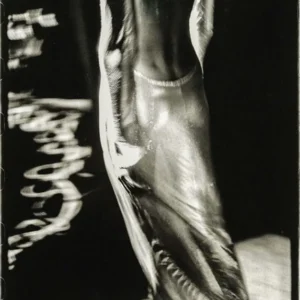 Sante D'Orazio, Versace, Evening Gown, Fashion, Fashion Show, gowns, high fashion, runway, model, supermodel, runway model, closeup, limited edition, fine art photography, black and white photography