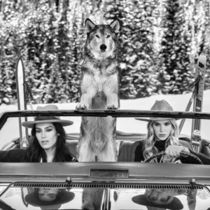 David Yarrow, Shangri La, Snow, Ski, Skiing, Wolf, Car, Models, Women, Winter, Snow, Cowboy, black and white, black and white photography, fine art photography, limited edition