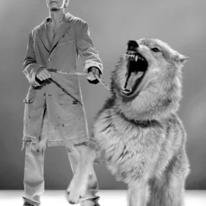The Protector, Markus Klinko, David Bowie, Wolfdog, Wolf, Dog, Chain, Barking, Color, Color Photography, limited edition, fine art photography, musician, singer, Rockstar, Celebrity, Celebrity Portrait, "The Protector", Markus Klinko, David Bowie, David Bowie Unseen, Bowie Unseen series, David Bowie photography, Markus Klinko photography, celebrity fine art photography, iconic music photography, rock legend portrait, David Bowie portrait, conceptual portrait photography, avant-garde photography, fashion photography art, contemporary fine art photography, music icon artwork, limited edition photography, collectible photography print, gallery photography artwork, luxury art photography, surreal portrait, mythic symbolism, wolf imagery, power and leadership symbolism, art